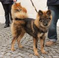 andechs (16)